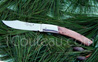Couteau de poche Le Thiers par Pierre Cognet - manche Gen�vrier mitre inox bross�  lame forg�e acier Z70CD15 