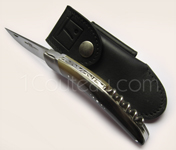 Couteau STYLVER par Goyon-Chazeau, Couteau stylver Pointe de Corne - manche en pointe de corne avec 1 MITRE INOX
